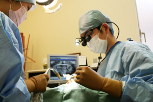 高い治療レベル