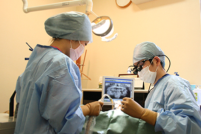 インプラントオペ